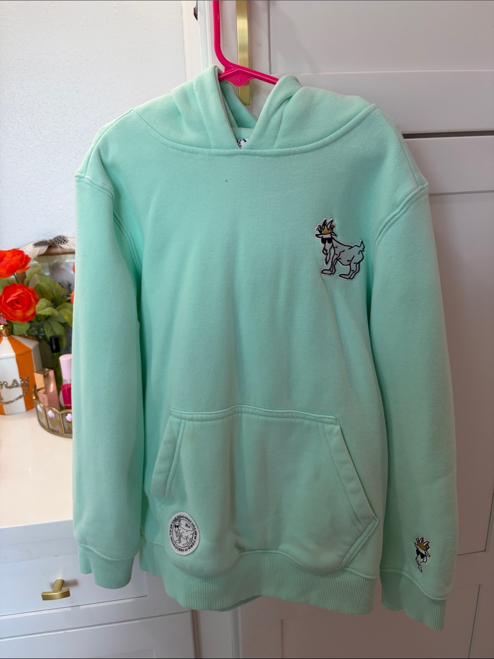 Kids Mint Green Hooded Sweatshirt with Embroidered Goat